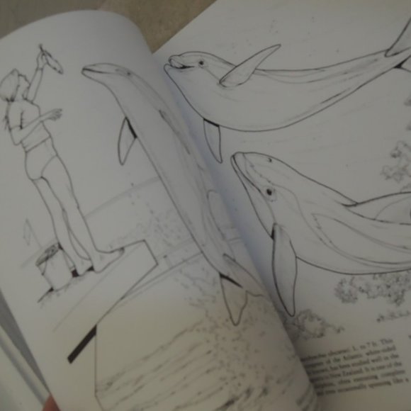 Whales and Dolphins Coloring Book Dover Nature Coloring Book June 1 1990 NEW - Picture 2 of 3